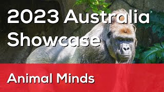 Shangrila X's Personal Project - Animal Minds | 2023 Australia Showcase by THINK Global School 61 views 5 months ago 8 minutes, 48 seconds