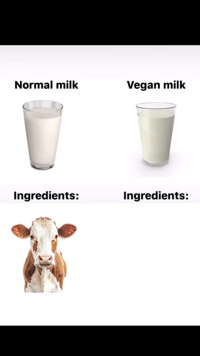 Normal Milk🥰vs Vegan Milk💀 #fyp #relatable