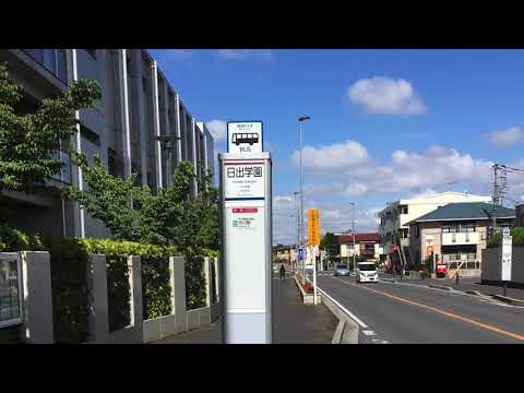 マーケットピア ユニディ菅野店 市川市 周辺施設 口コミ 写真 動画