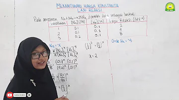 Co jsou základy statistiky hřbet?