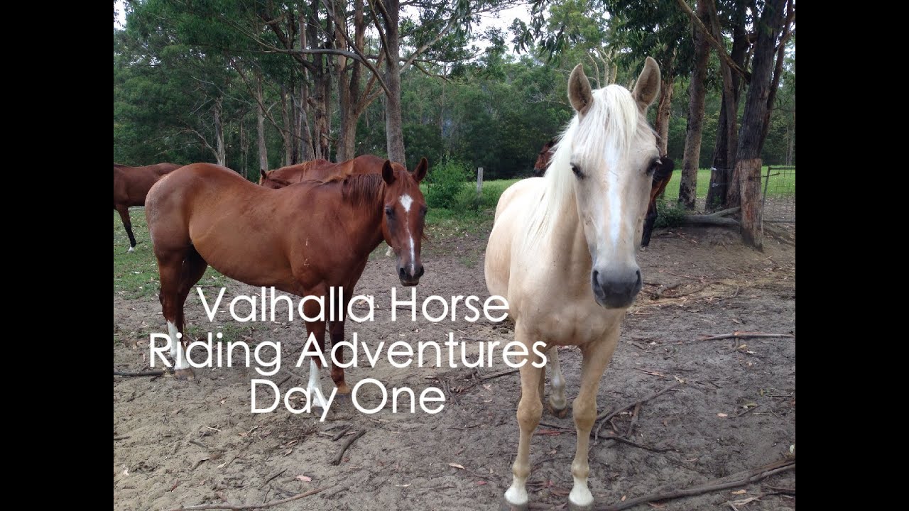 Valhalla Horse Riding Adventures Day One YouTube