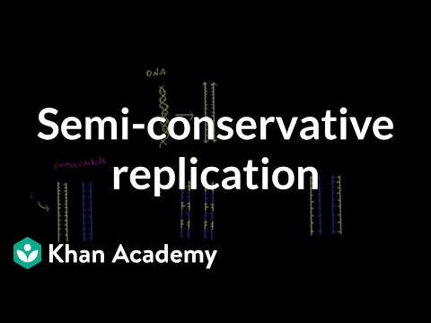 Video: Hva er fordelen med semikonservativ replikering?