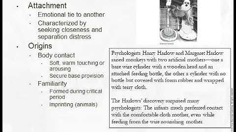 PSYC 210 D05 D06 Chp 4 2