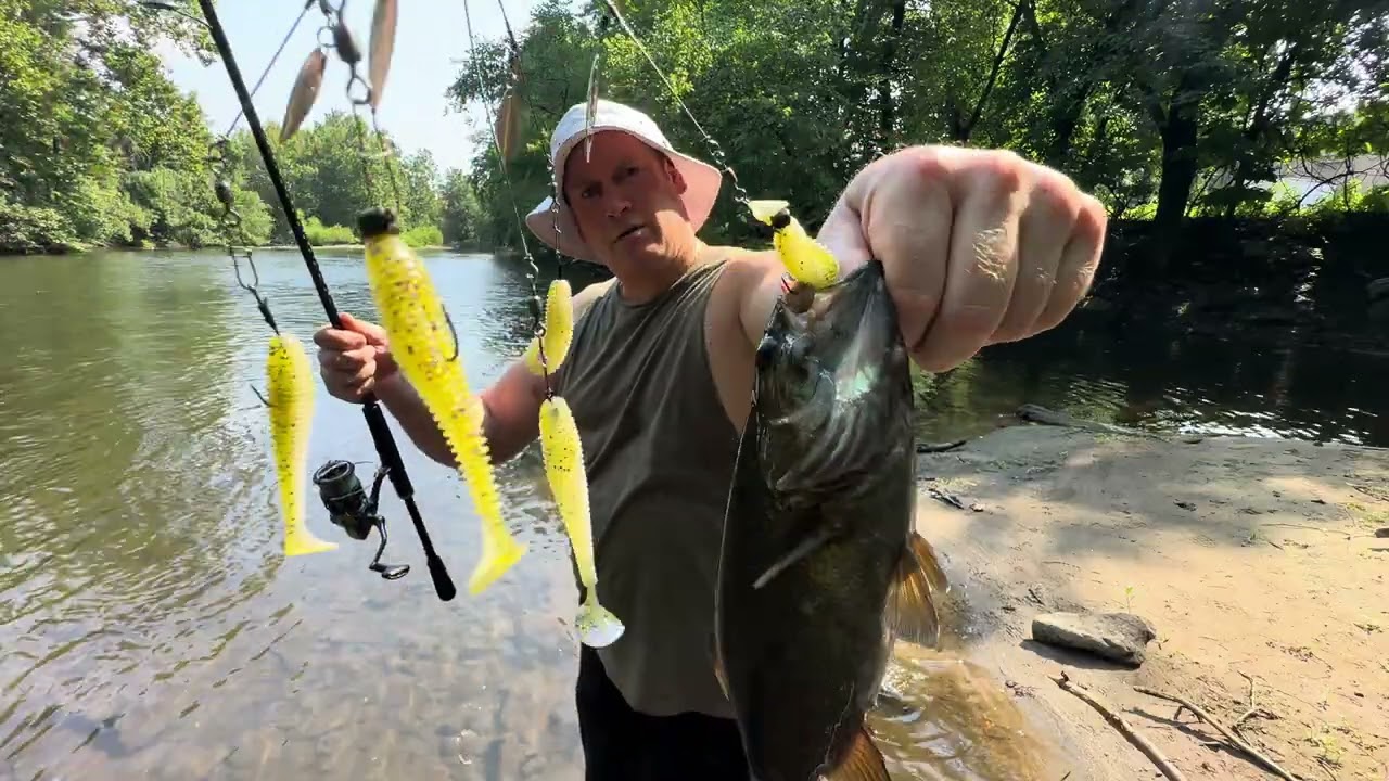 Alabama rig Smallmouth bass 1St Fish 