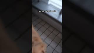 Too Many Rains In Korea