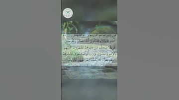 سورة البقرة  الشيخ محمد الفقيه  #اكسبلور #forupage #quran #love #تيك_توك #دويتو #duet #peace #لايك
