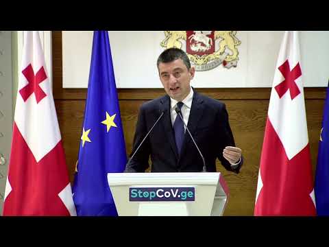 ვირუსი ჩვენ არ დაგვიმარცხებია, შეუძლებელია ცალკე აღებულ ქვეყანაში ვირუსის დამარცხება - გახარია