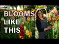 SNAPDRAGONS FOR CUT FLOWERS Growing Guide (Long Stems) Mp3 Song