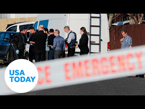 Remains of two children found in suitcases bought in New Zealand | USA TODAY