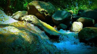 Nature Sounds Waterfall River Relaxation Meditation Relaxing Calm River Water flow for Sleeping