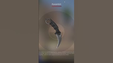The glitched karambit of csgo