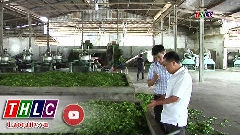 Cổ phần hóa công ty duyên hải bộ quốc phòng năm 2024