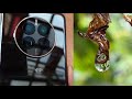 huawei tanpa leica, hasil kamera huawei mate 50