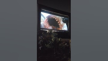 Jaws Movies on the Beach Quint gets devoured Seaside Heights NJ July 6 2025 #jaws #jaws50 #dundun