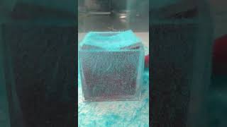 Flocking a flock filled tape cube 🧊 #satisfying #flocking #tape
