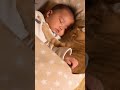 【尊すぎ】赤ちゃんの「添い寝係」を任された猫と、優しく見守る秋田イッヌ #shorts