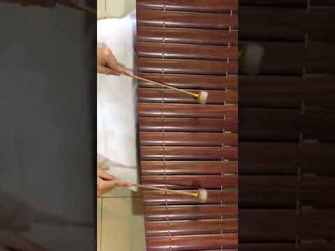 แขกสาหร่าย ระนาดเอก 😄Thai music😃