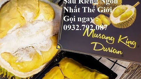 Sầu riêng musang king malaysia giá bao nhiêu