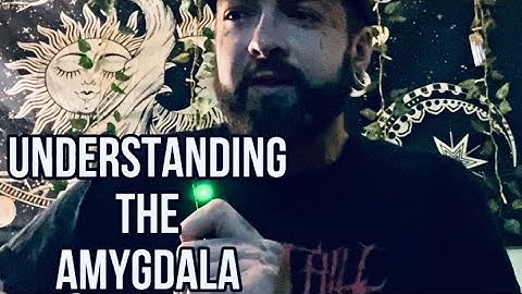 Healing From Anxiety/OCD | Understanding The Amygdala & How It Functions 🧠