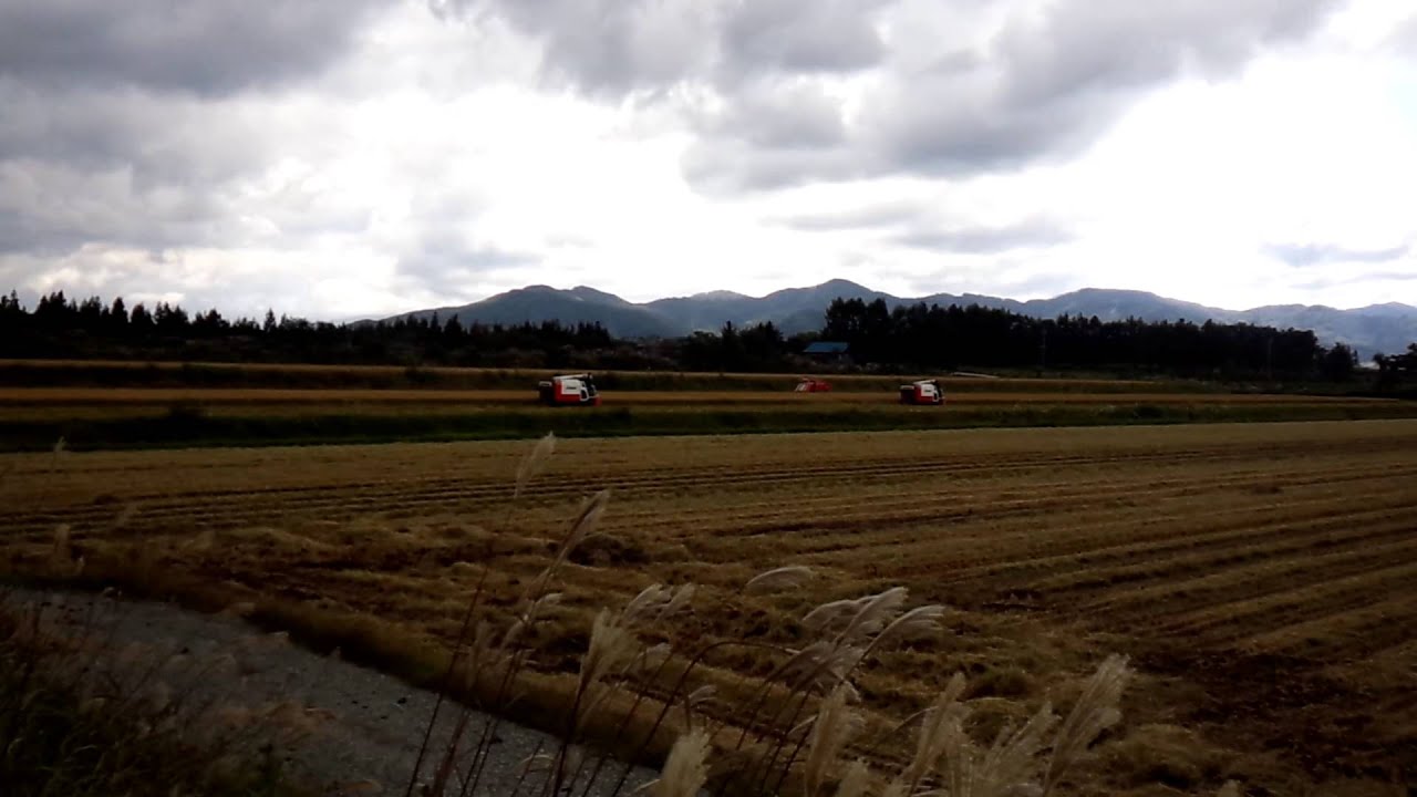 稲刈りしてみた Youtube