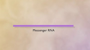 cDNA  Complementary DNA HD Animation