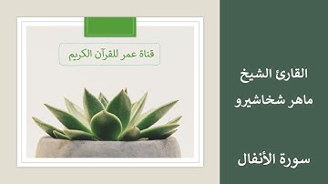 008 ـ سورة الأنفال ـ القارئ الشيخ ماهر شخاشيرو