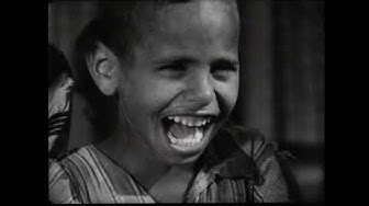 ologie orientale du Caire est une grande   Info Of Institut français d'archéologie orientale Youtube Channel