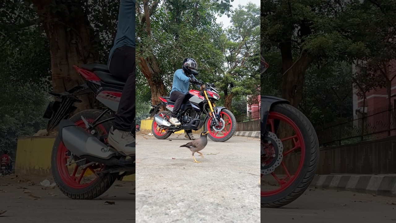 Hornet 125 Negatives ❌             