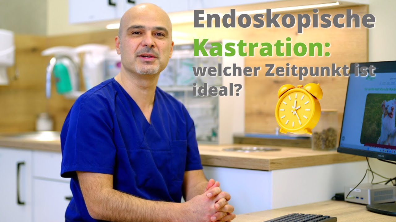 Wann Kastration Rde