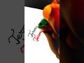 ✨ Termination Word Writing | Double Pen Calligraphy Art #shorts