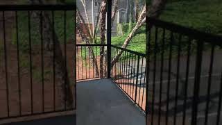 Rabun Virtual Tour