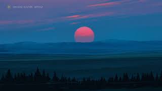 sarcastic sounds - amour (lofi loop)