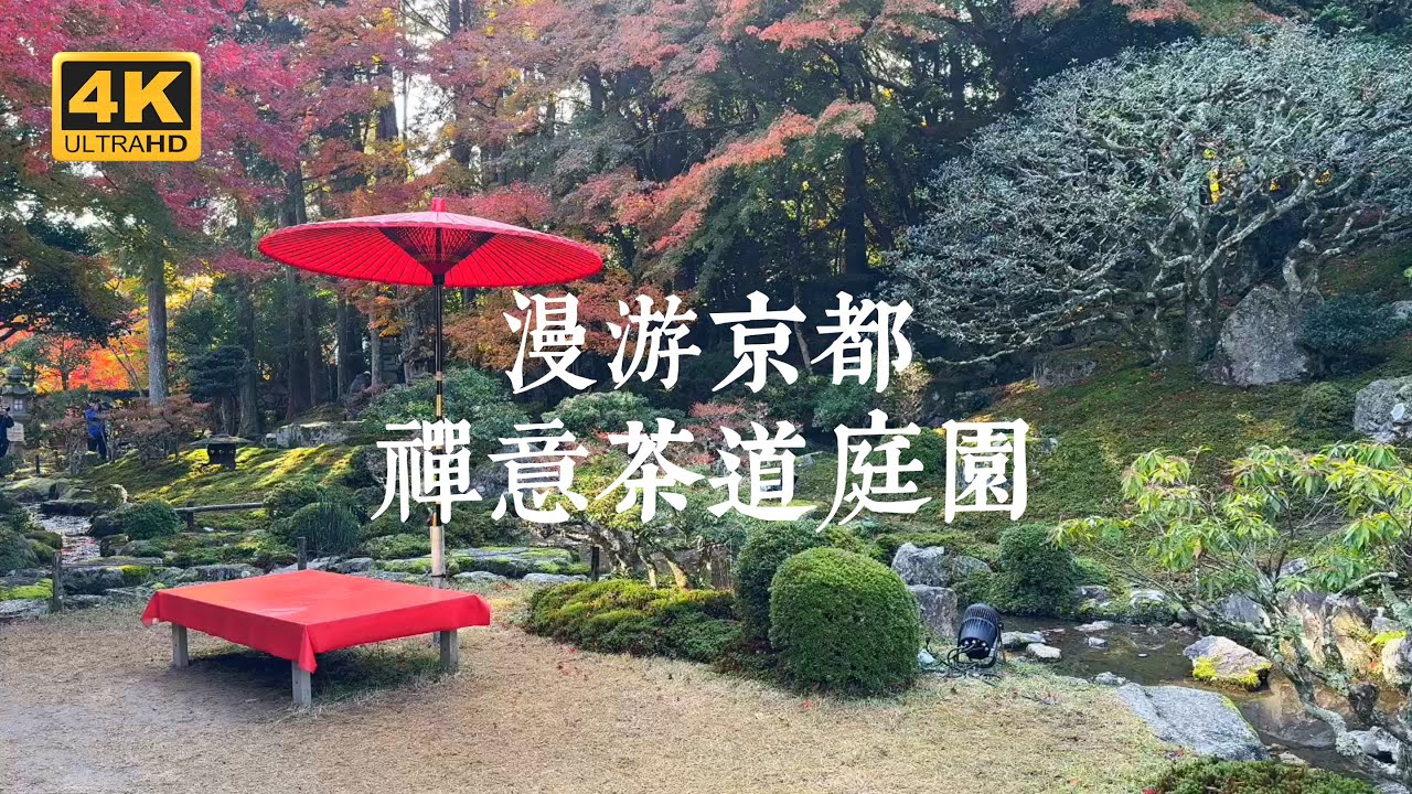 【京都一人旅 EP24】京都最療癒茶席！尋找京都四間寺院裡的秘境茶席 | 圓德院、西來院、常照寺、等持院