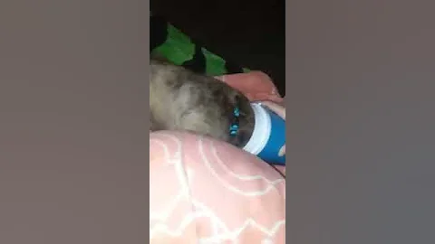 ice out cup