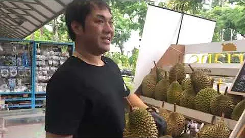 Ask the Experts: How To Pick And Choose Durians - DayDayNews