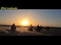 Group horse riding  dj gimio x habibi albanian remix
