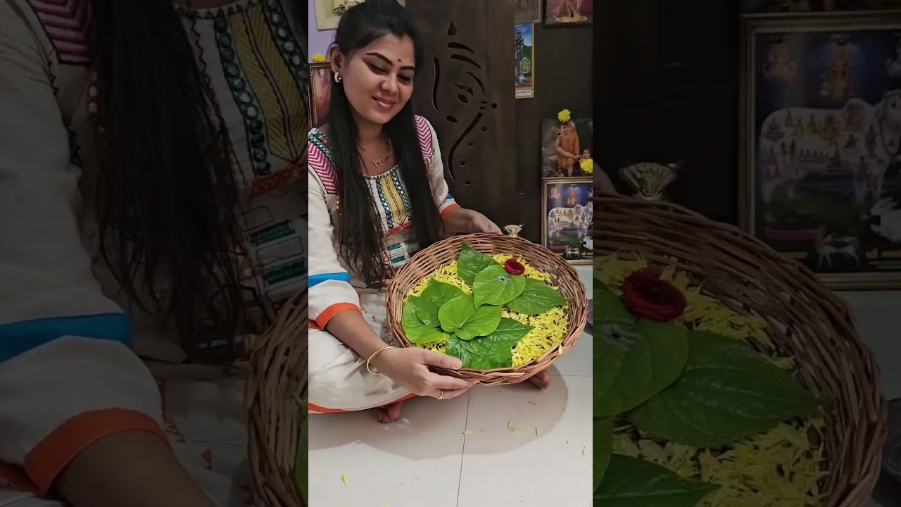 வீர விநாயகா வெற்றிவிநாயகா 🙏🏼 ஸ்ருதியின் விநாயகர் சதுர்த்தி கொண்டாட்டம் ❤️ #siragadikkaaasaiserial