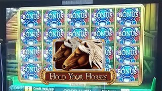 [Korea Slots] Hold Your Horses Slot Machine Bonus nice win!