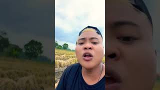 Download Lagu Uwong Kok Sambat Ae Ndeng Gendeng 🤣🤩😀😁 #petaniabiez #rondapgank #rombongannyeni #lucu #viralvideo MP3