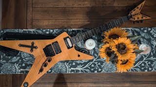 DHgate Washburn Dime Southern Cross D3 unboxing & playthrough