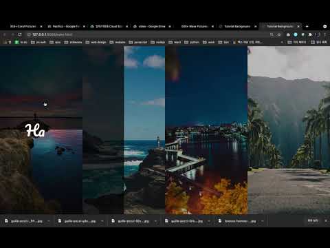 🏞 06 Image Hover Slide Effect | HTML & CSS