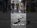 La mayoría de las personas rompen la primera regla... Que opinas? 🤔