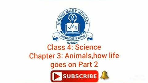 CLASS 4 Science Chapter 3 Animals how life goes on Part 2