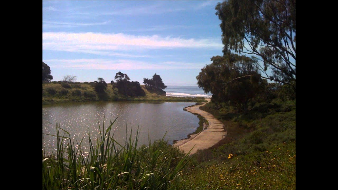 在 YouTube 上觀看「I need a dollar MC Jong Soo」 在 YouTube 上觀看「I need a dollar MC Jong Soo」