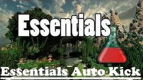 How to Setup Essentials Auto Kick Bukkit/Spigot