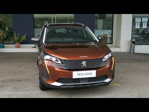 邵芝巖筆荘 細嫩光鋒1号 呉昌碩用筆 武林邵芝巖 唐筆/羊毛 - 習字セット