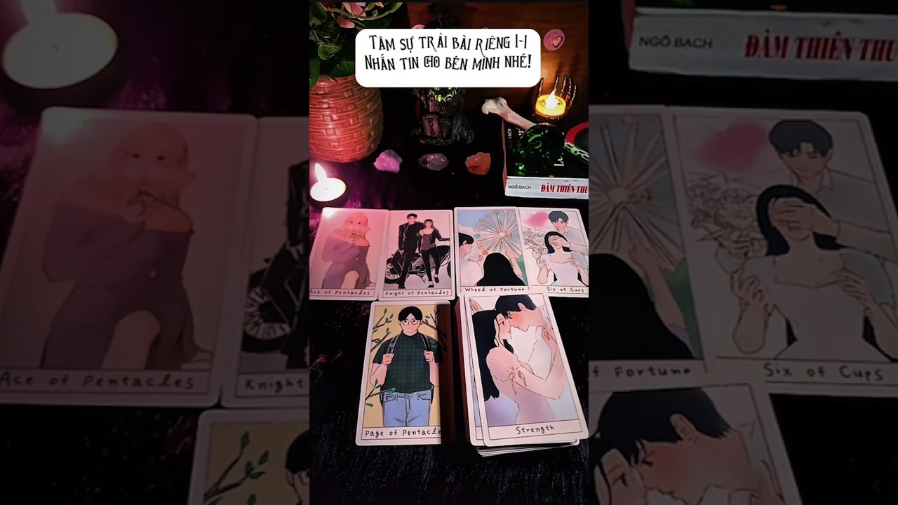 Vì sao đối phương không buông bạn, cũng không tiến tới? Trải bài chung (timeless)