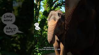 The Elephant and Ant | Short Story |  @TaleTory  #shorts #viral #youtubeshorts #ytshorts