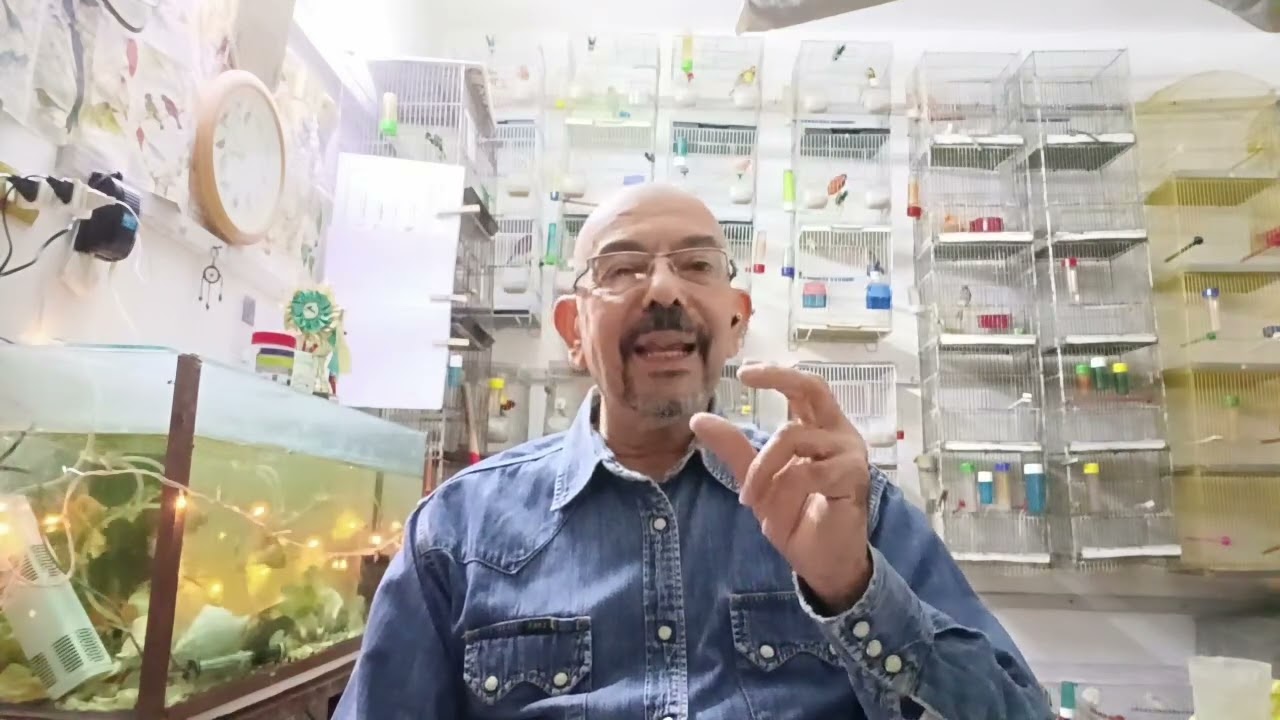 مشكلة عدم فقس البيض المخصب ( صلو على الحبيب)