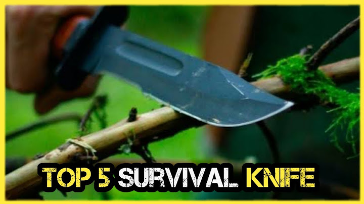 Top 5 Best Survival Knife Reviews🏆 Top 5 Items Tested & Reviewed✅